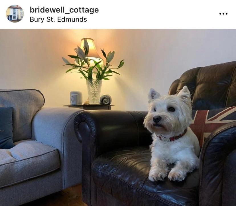 Sweet & Cosy 10 Bridewell Cottage With Parking Available Upon Request Bury St. Edmunds 外观 照片
